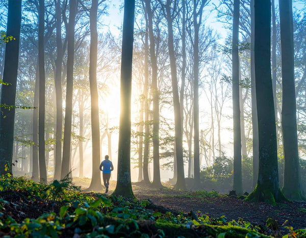 Chasing 100 Miles: Make This Year Your Year