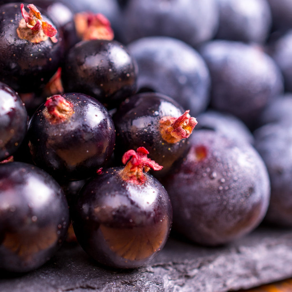Anthocyanins vs. Obesity: How Nature’s Purple Powerhouse Can Help