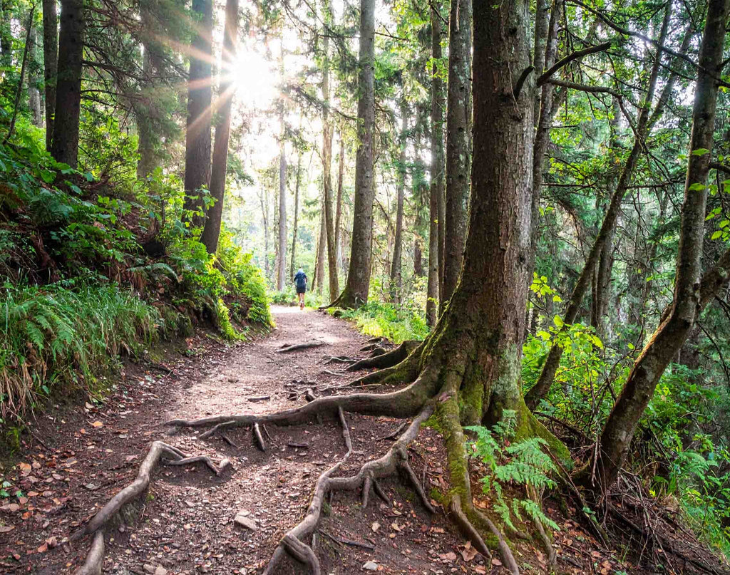Coach's Corner: Technical trails - a pro's tips to get you to the top