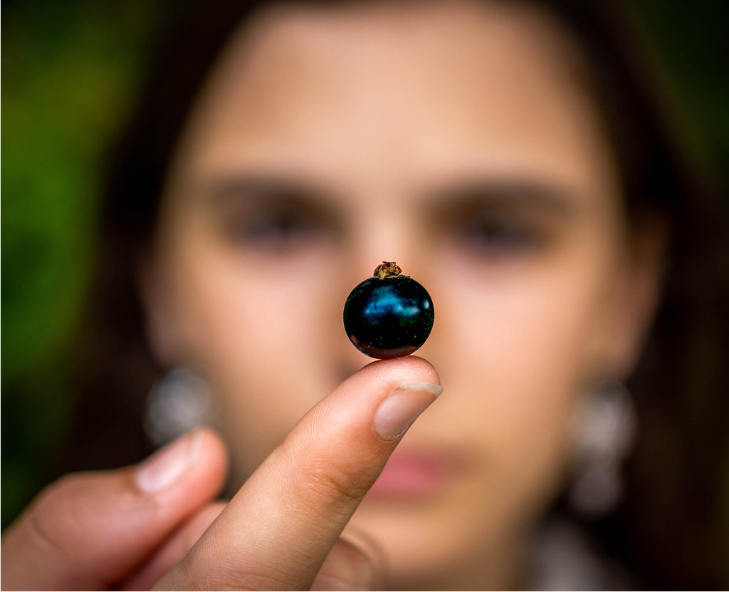 New to CurraNZ? Here’s why everyone’s talking about blackcurrants in 2026